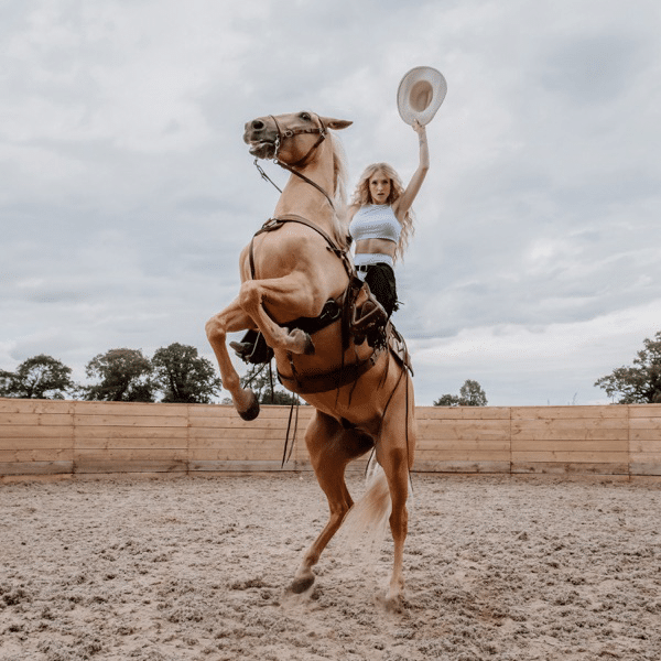 Janet Devlin's album Emotional Rodeo